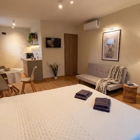 Setany Apartman-es Vendeghaz Daire Tiszafüred